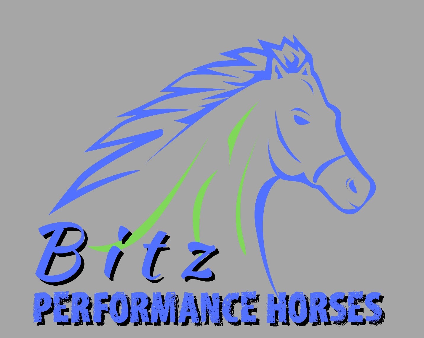 Locals Convenience Center, LLC & Bitz Performance Horses