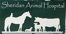Sheridan Animal Hospital - Heeler Breast Collar